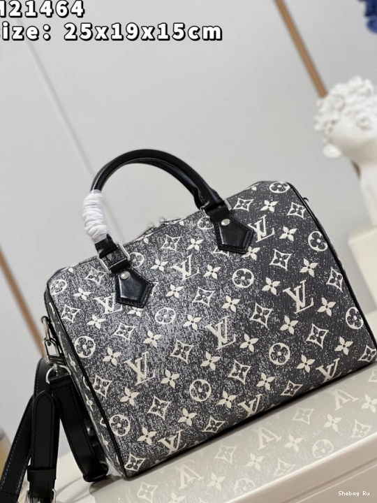 25 BANDOULIÈRE SPEEDY LOUIS VUITTON 0807